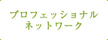 プロフェッショナル